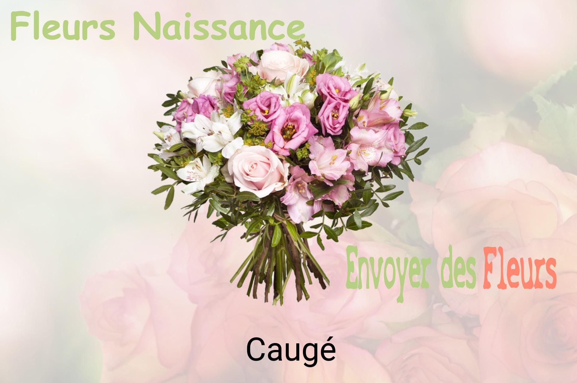 Bouquet de fleurs de naissance livré à Caugé